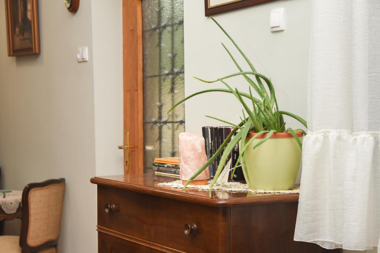 Apartman Woolf Senta ภายนอก รูปภาพ